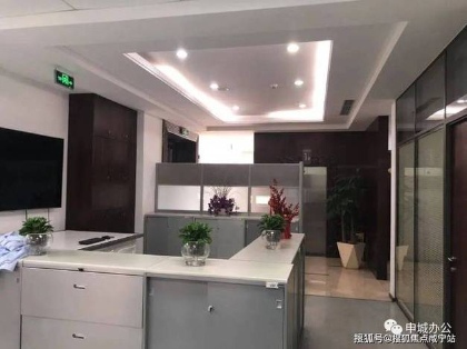 合肥蓓秧网络科技有限公司办公环境 - 数字化转型解决方案提供商